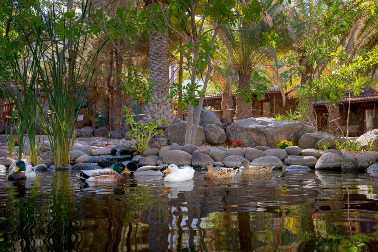 Redondo De Guayedra Guest House Luaran gambar