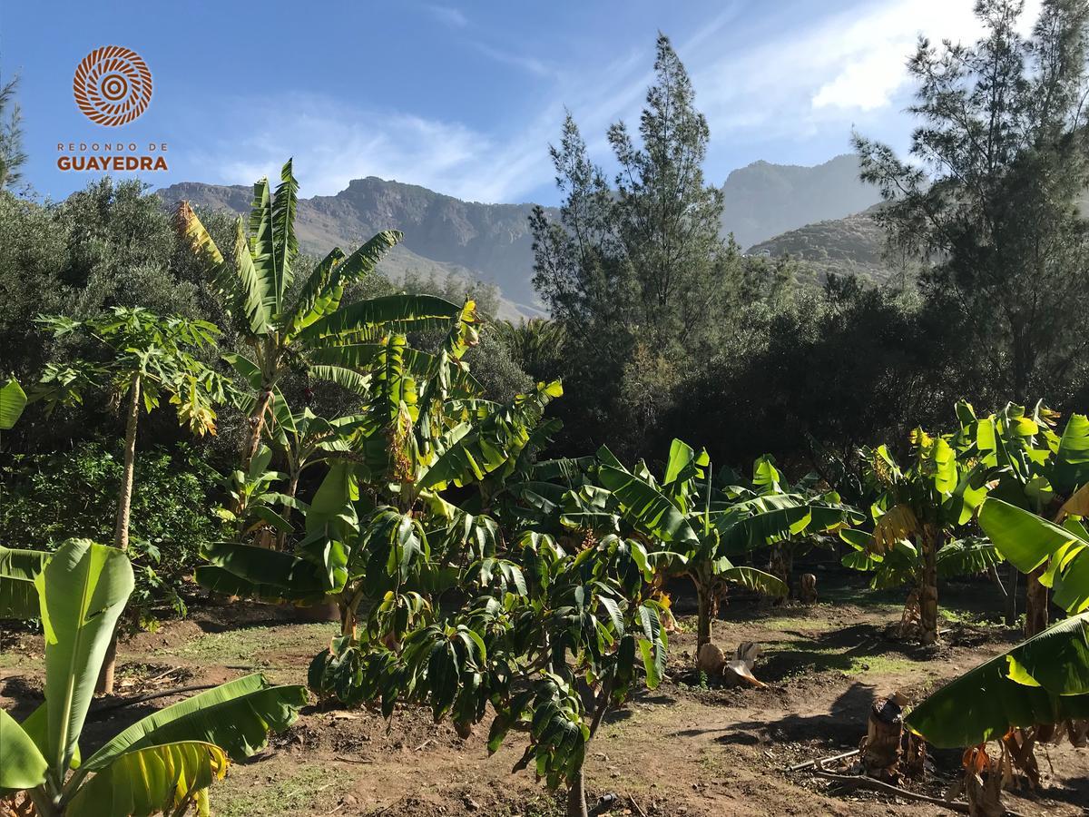 Redondo De Guayedra Guest House Luaran gambar